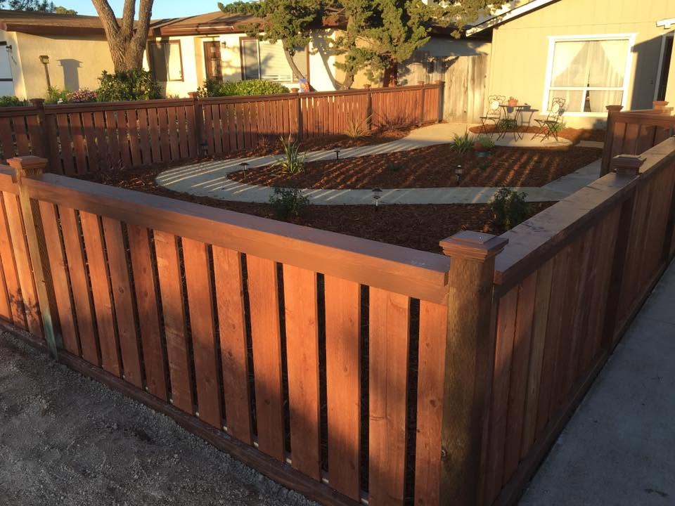 Drought-tolerant landscape design