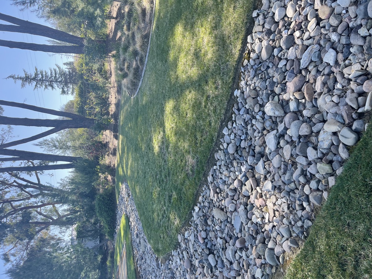 New Era Landscape Artificial Turf project