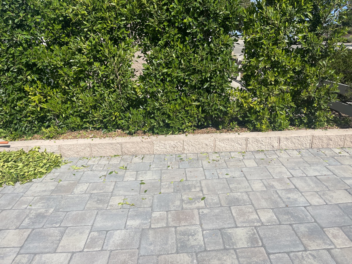 New Era Landscape Hardscaping & Pavers project