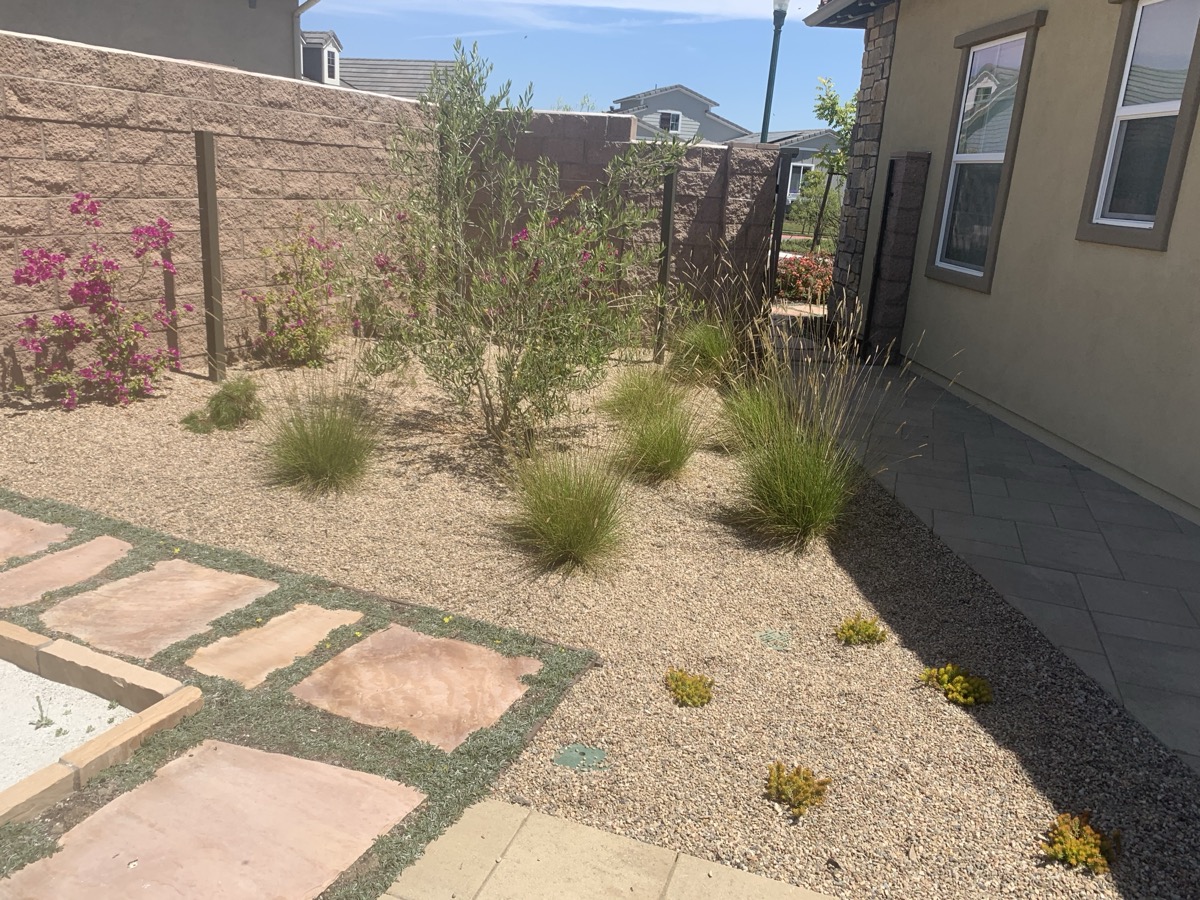 New Era Landscape Landscape Design project