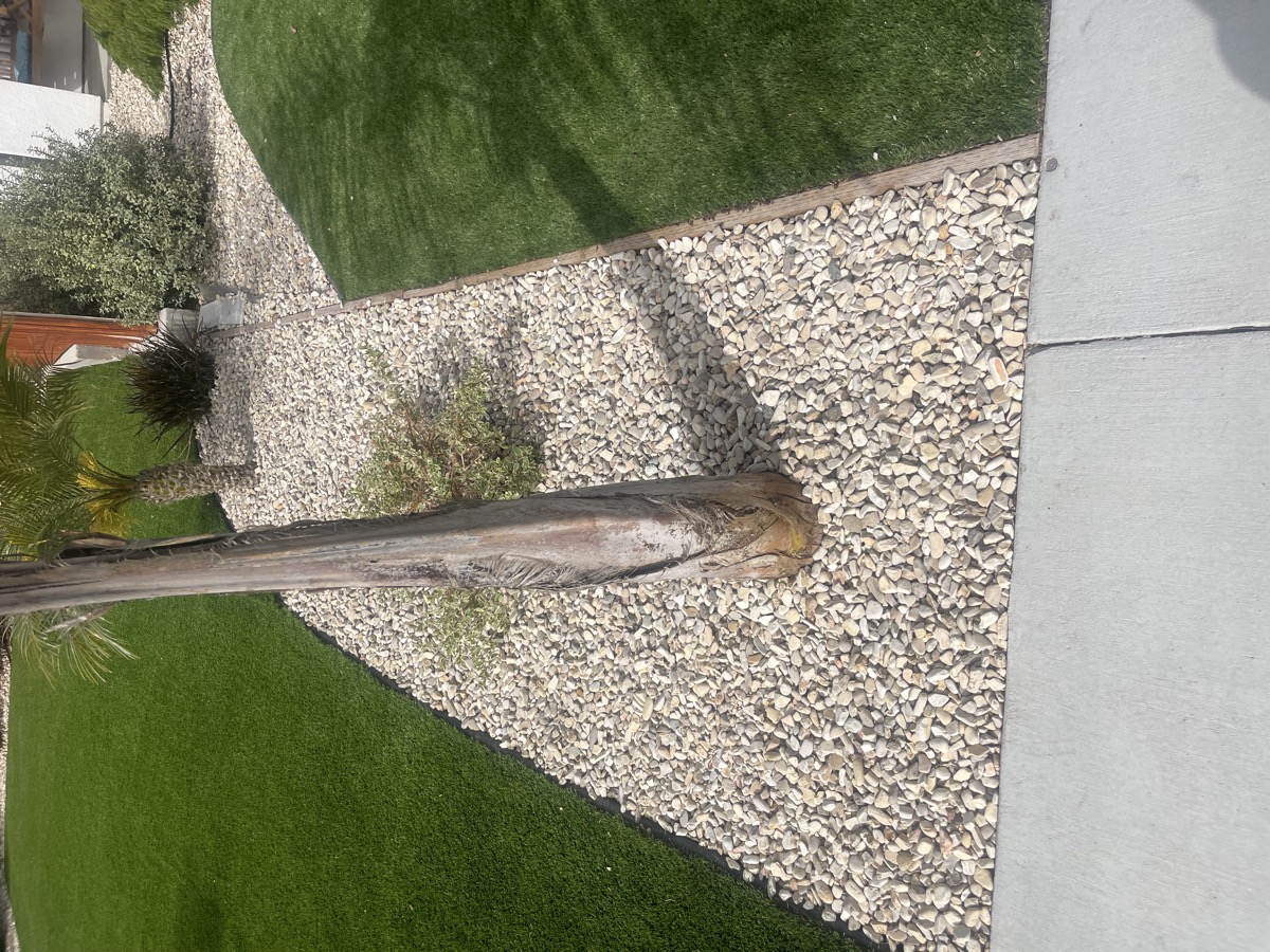 New Era Landscape Hardscaping & Pavers project